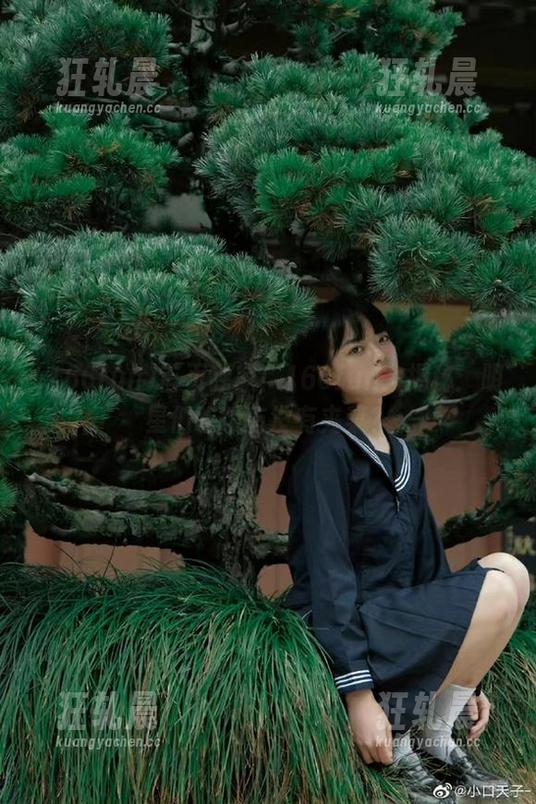 首页独家！166fun大揭秘：明星们吃饭有没有夹菜？
