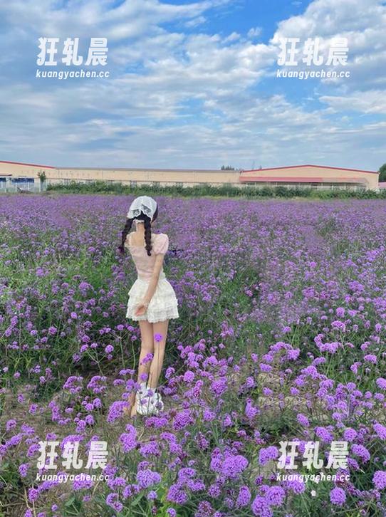 想不到“hl155.ccm”的链接背后藏着那么多好玩的东西，果然不能小觑。